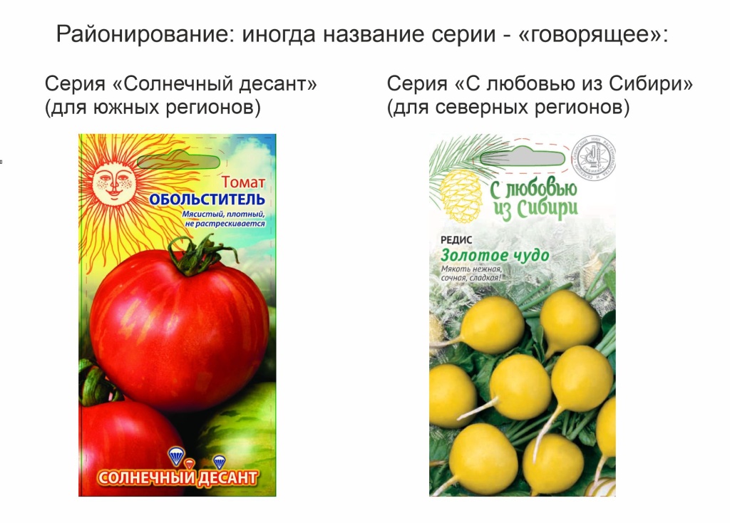 районирование.jpg районирование.jpg