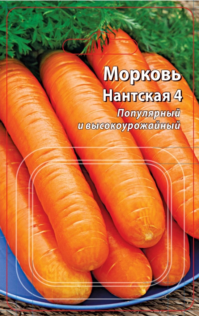 Морковь сорта Нантская 4