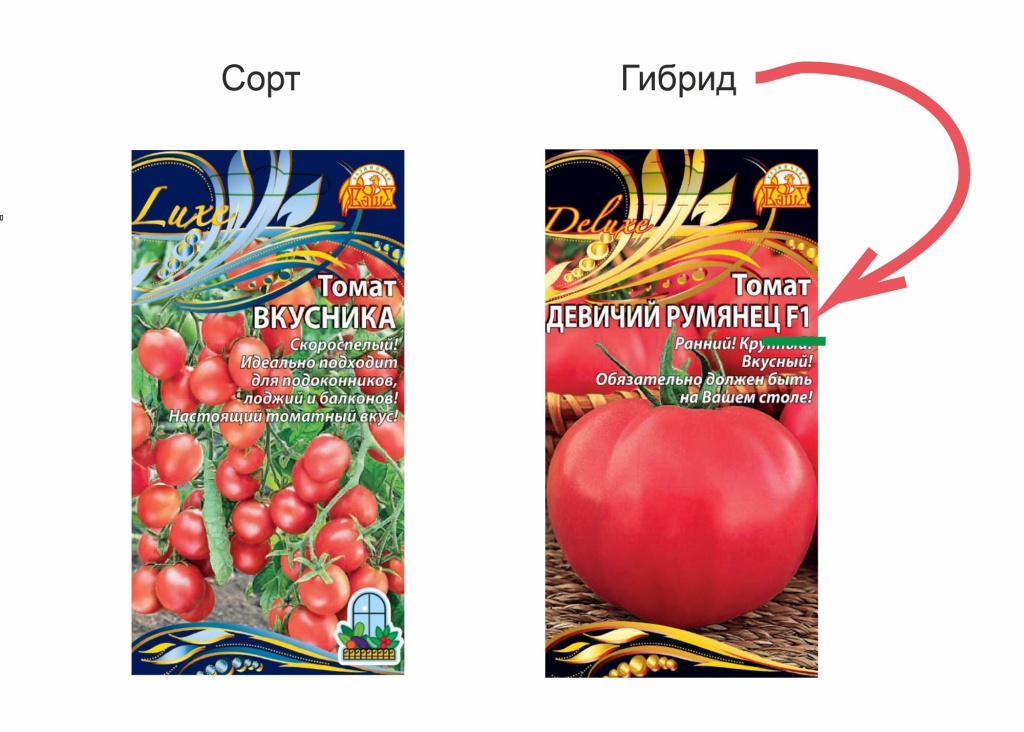 сорт и гибрид.jpg сорт и гибрид.jpg