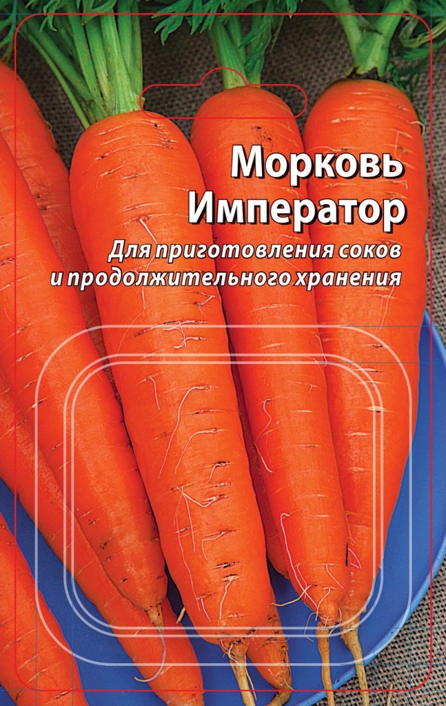 Морковь сорта Император