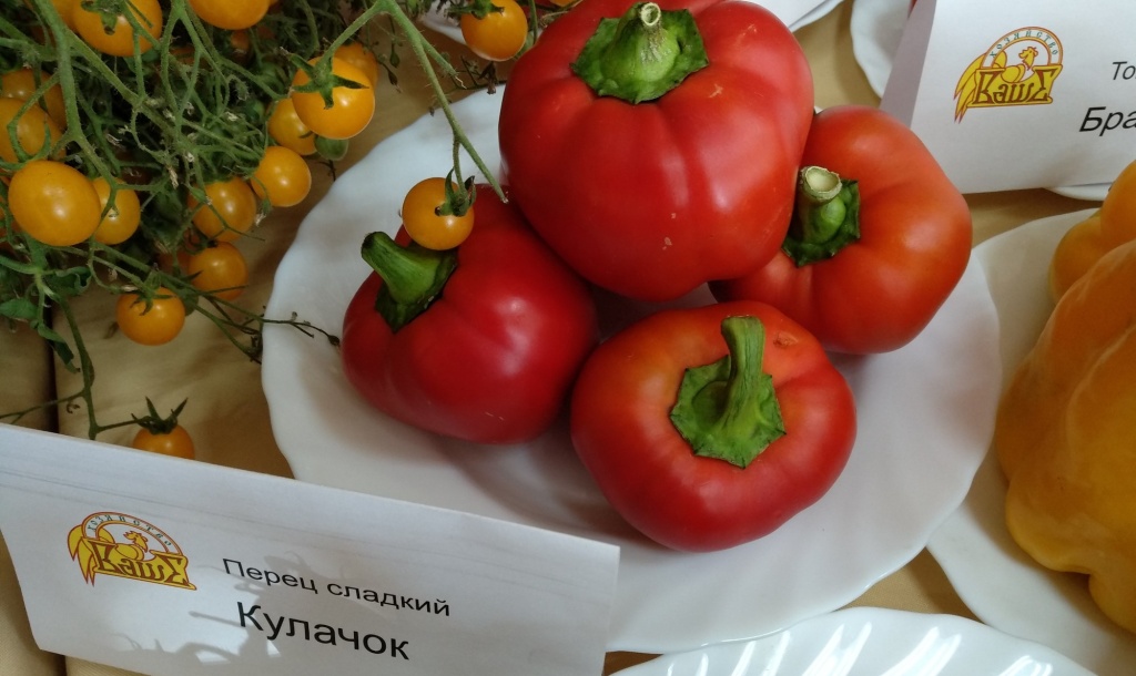 перец Кулачок_4000x2384.jpg перец Кулачок_4000x2384.jpg