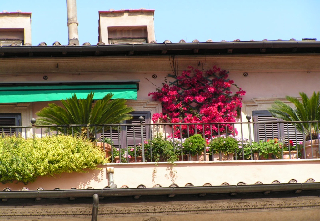 Французский балкон.JPG