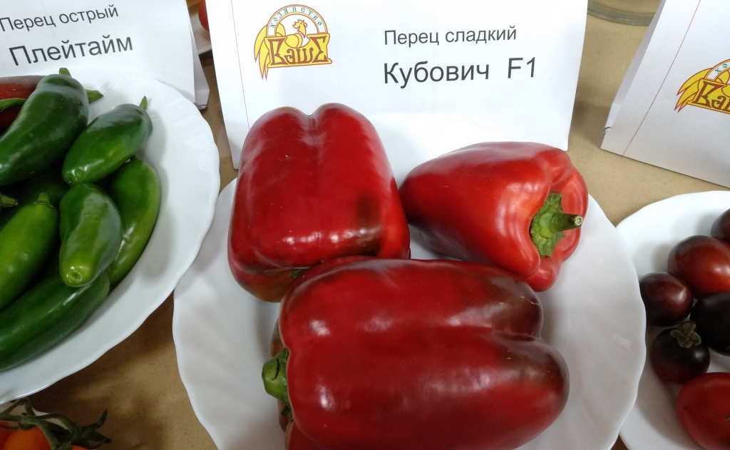 перец Кубович _4000x2464.jpg перец Кубович _4000x2464.jpg