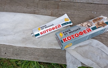 Ловчий пояс своими руками, или клей “Котофей” не только от мышей