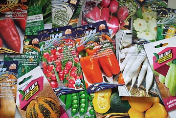 Сроки хранения семян: полезные советы садоводам