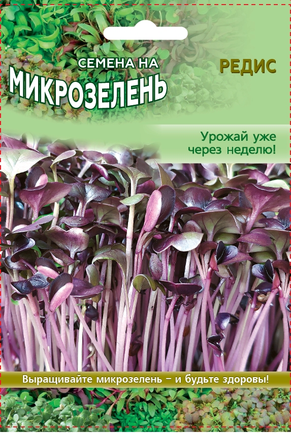 Семена с сибири интернет магазин семена конопли что из них делают