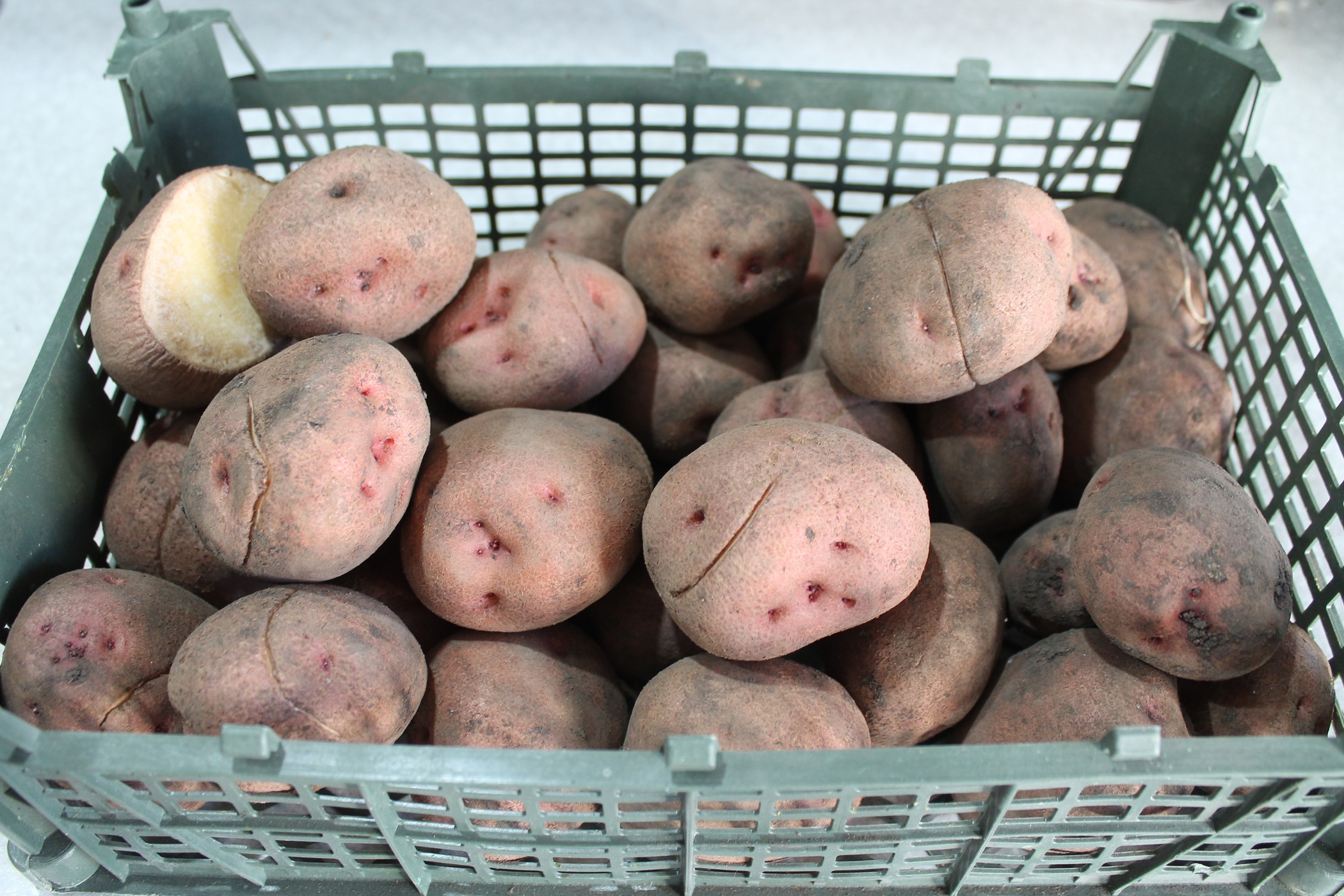 Фото статьи