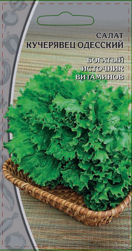 Салат Одесский кучерявец 1 гр цв.п купить семена по каталогу почтой, цена, описаниесорта, отзывы, доставка наложенным платежом по России