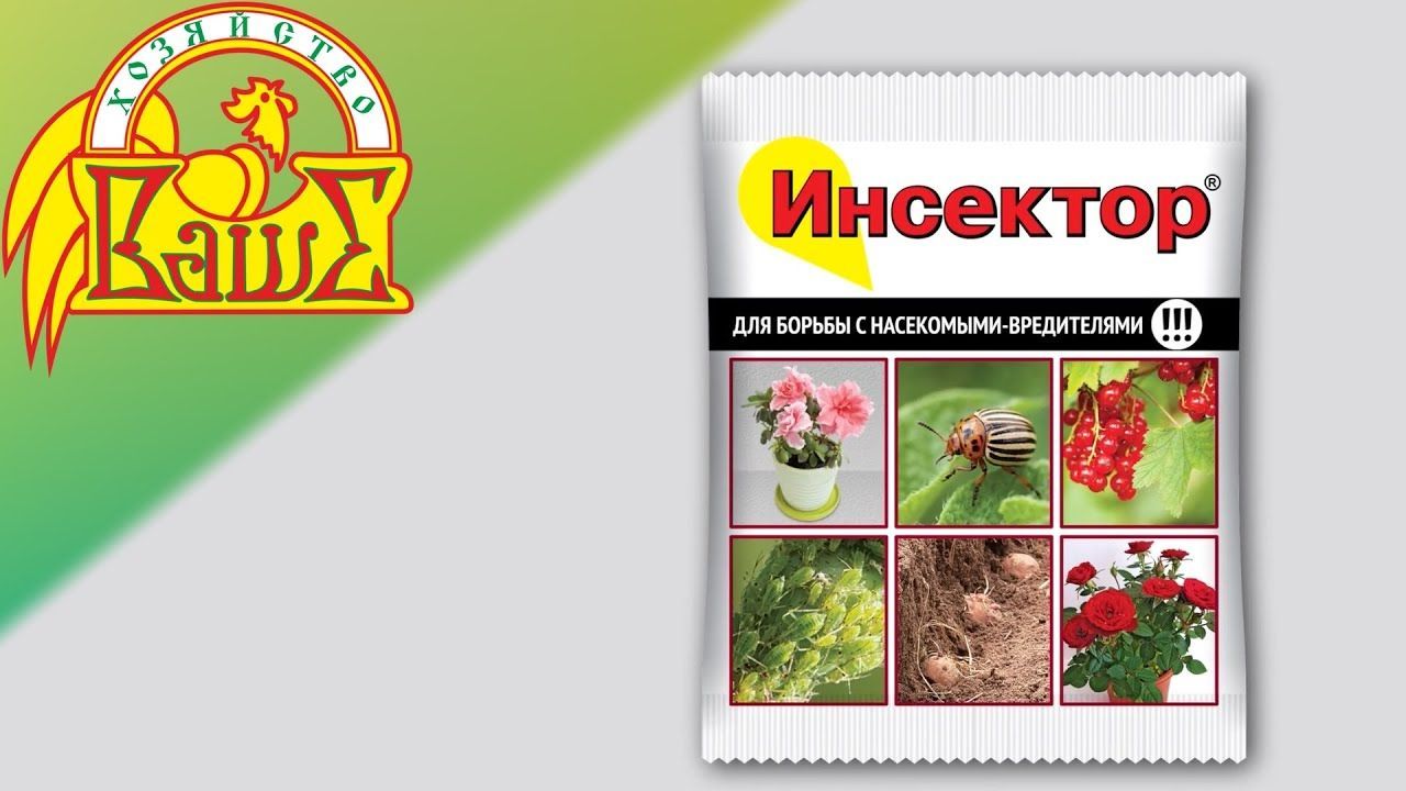 Инсектор. Ваше хозяйство. Инсектор Супра, для борьбы с насекомыми-вредителями. Инсектор 1,2 мл (колорад. Жука). "Инсектор Супра, для борьбы с насекомыми-вредителями, 3мл вх.