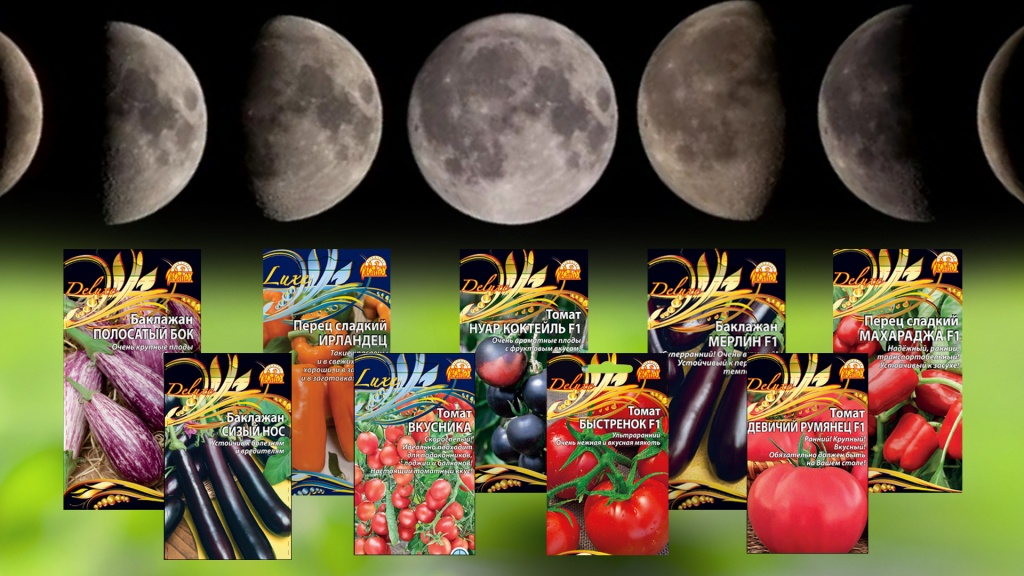 Лунный посевной календарь на 2024 год для садовода и огородника