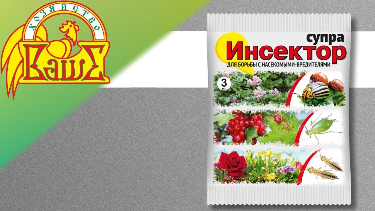 Дракор отзывы. Средство дракор для борьбы с вредителями. Дракор препарат. Томат для внучат. Supra реклама.