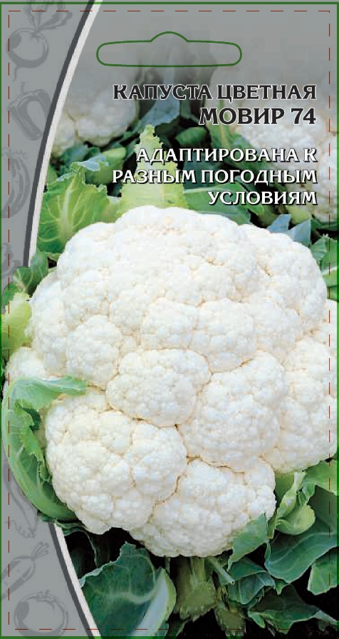 Капуста цветная Мовир 74 0,3 гр цв.п. купить семена по каталогу почтой, цена,описание сорта, отзывы, доставка наложенным платежом по России