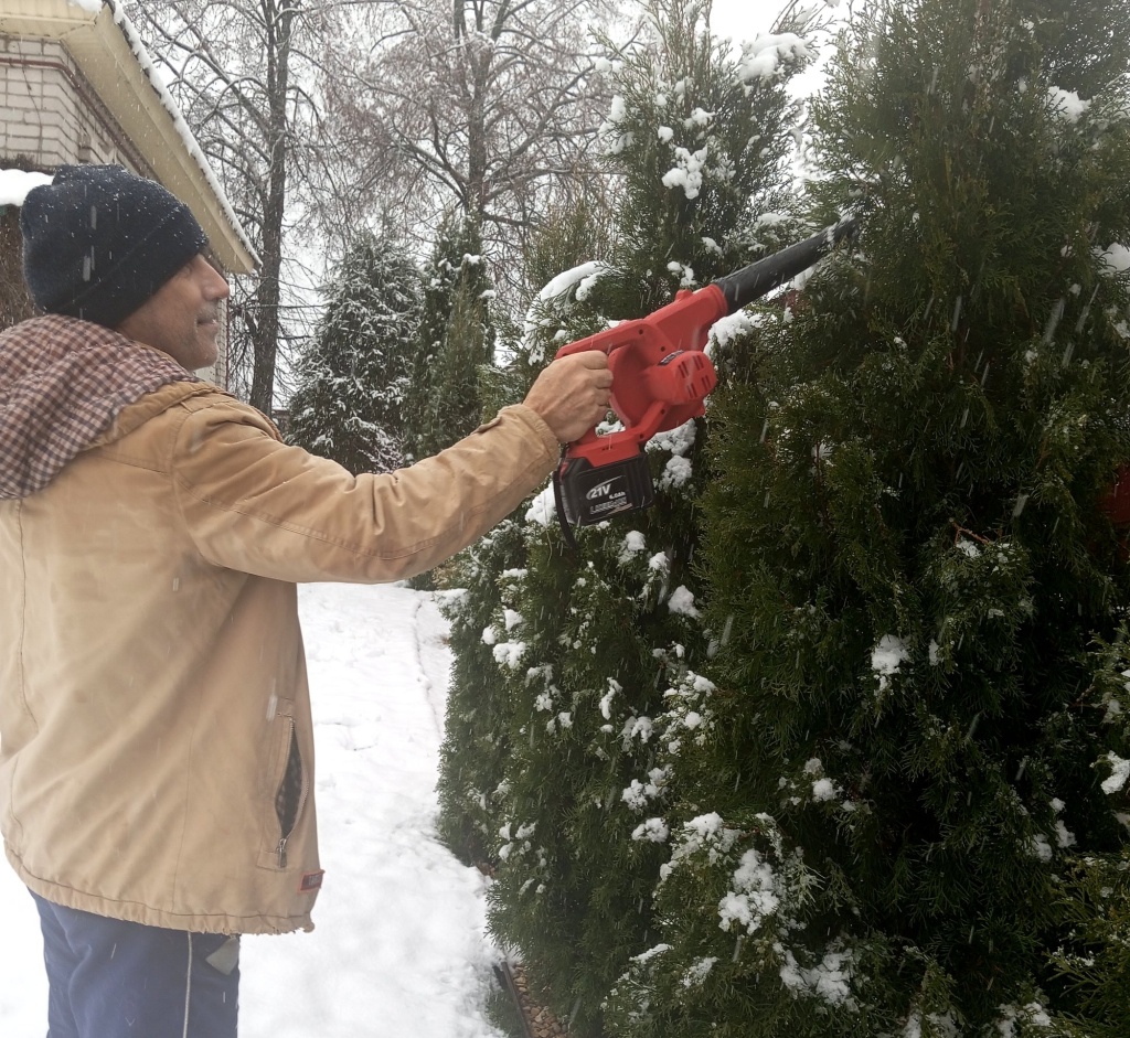 обдув елки.jpg