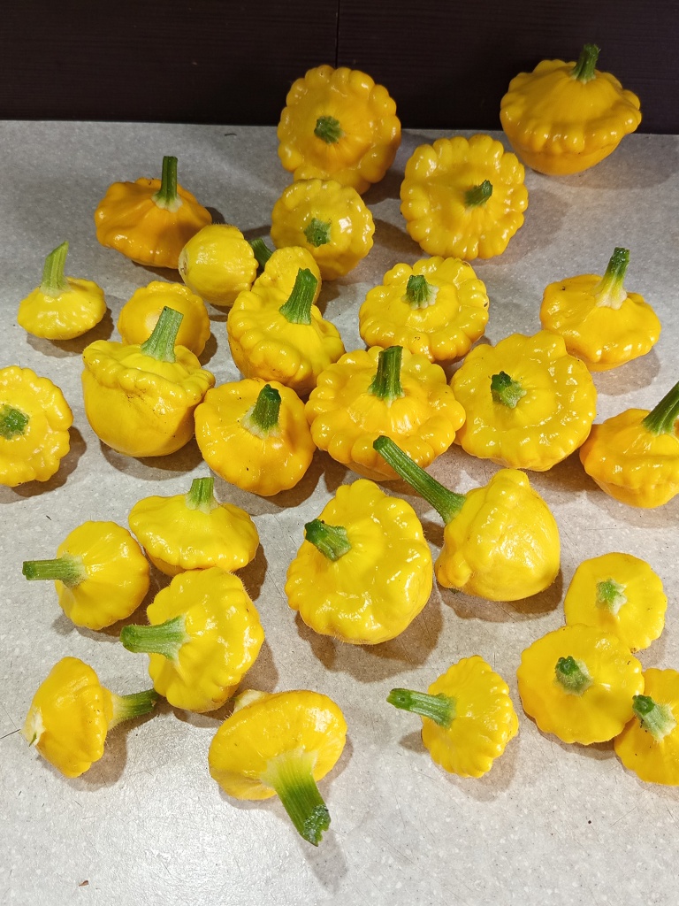 И это всего один сбор с двух кустов.jpg