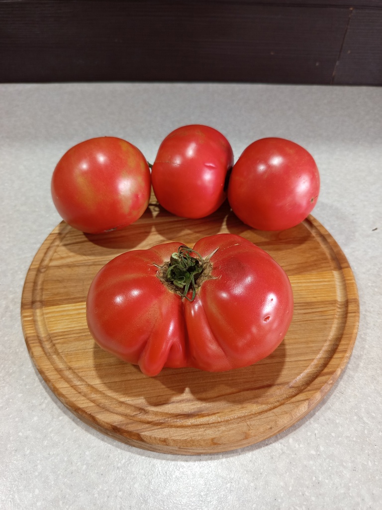 Помидоры крупные и очень крупные.jpg Помидоры крупные и очень крупные.jpg