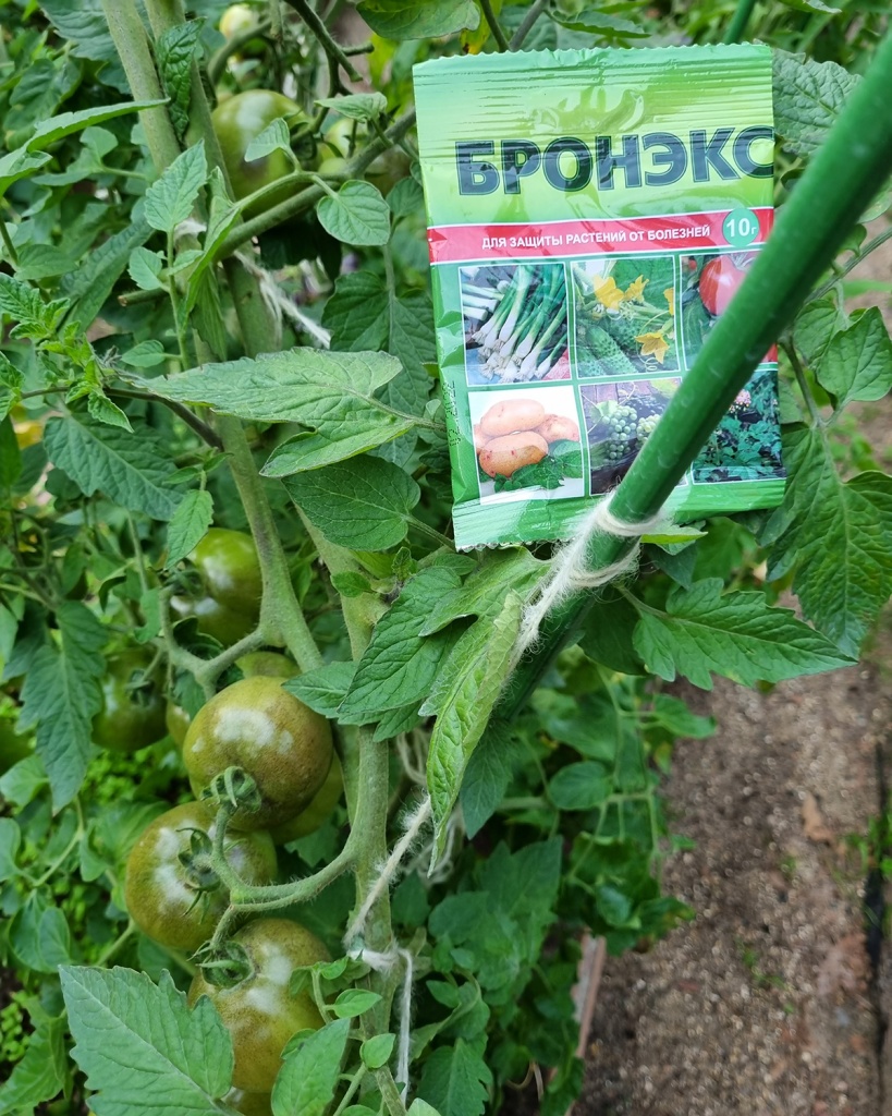 20240819_191844.jpg