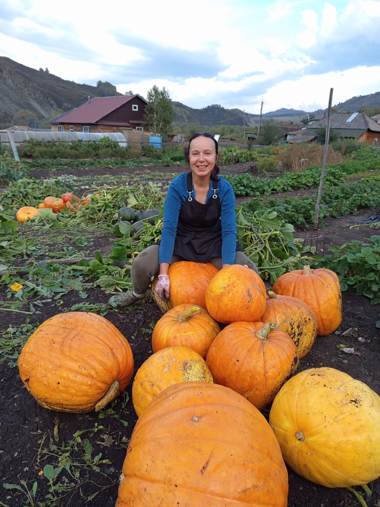 IMG_20250908_183304.jpg IMG_20250908_183304.jpg