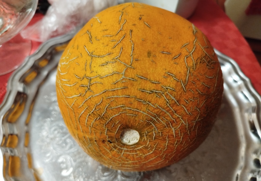 Дыня Колхозница.jpg Дыня Колхозница.jpg