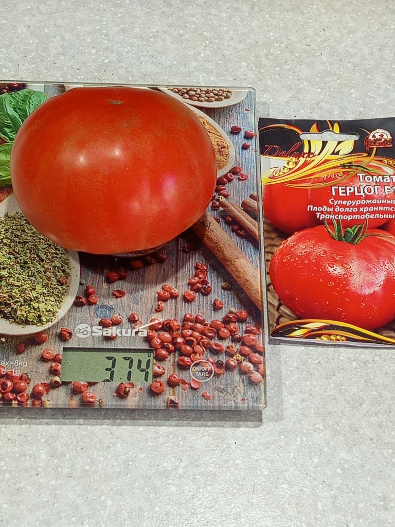 Плоды плоскоокруглые.jpg Плоды плоскоокруглые.jpg