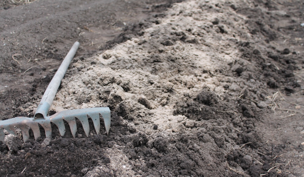 грядка вскопанная с золой 2иии.JPG