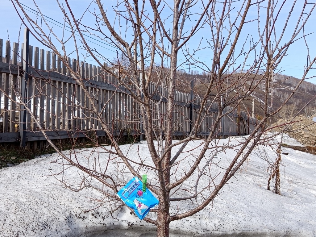 Упс 1742538859722.jpg
