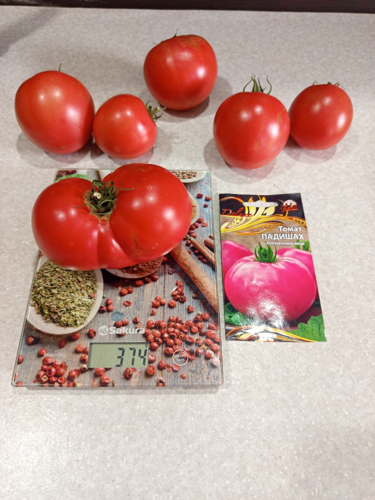 IMG_20250824_132242.jpg IMG_20250824_132242.jpg