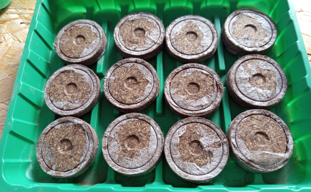 торфяные таблетки.jpg торфяные таблетки.jpg