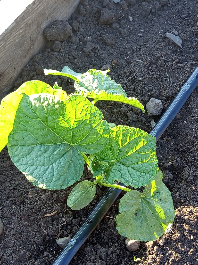 Начало сезона.jpg