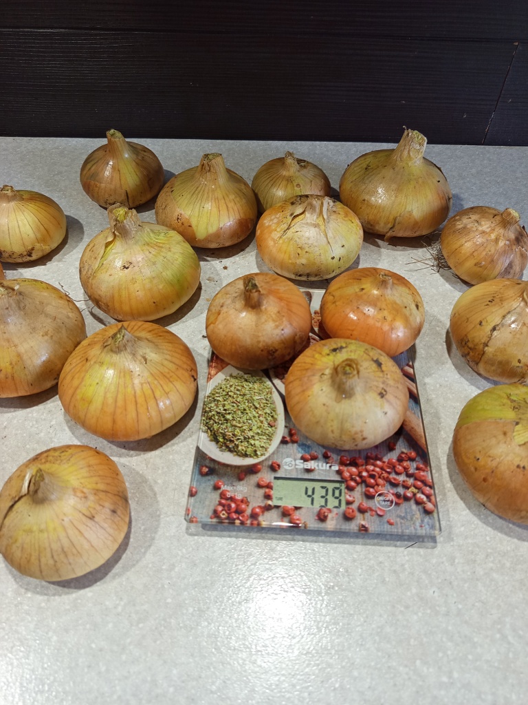 средняя масса лука более 150 г.jpg средняя масса лука более 150 г.jpg