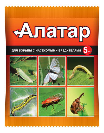 vhoz_alatar_ampula_paket_5ml_4607043201379.jpg