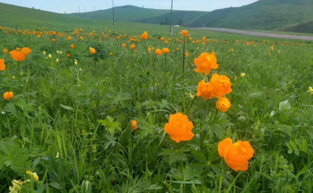 20240522_092901ццц.jpg 20240522_092901ццц.jpg