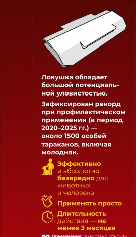 блокбастер домик оборот1.jpg