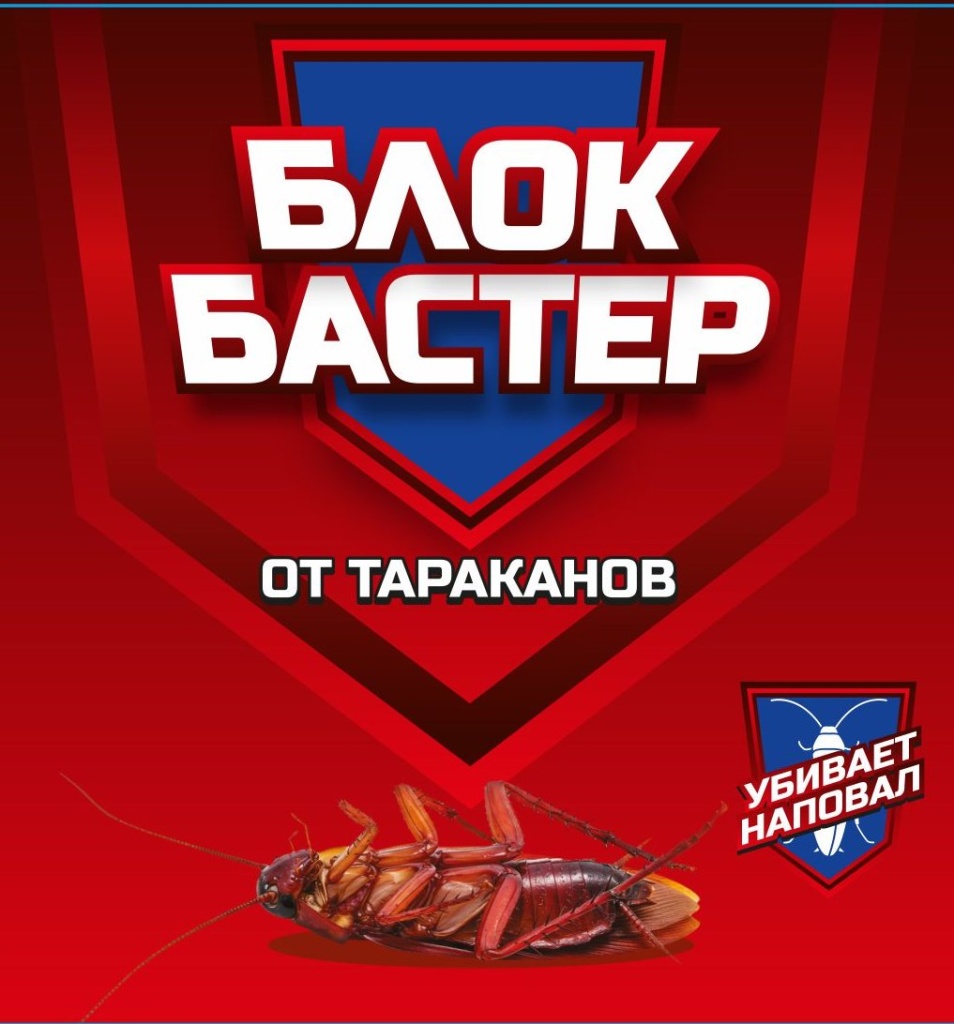 новый дизайн Блокбастер.jpg новый дизайн Блокбастер.jpg