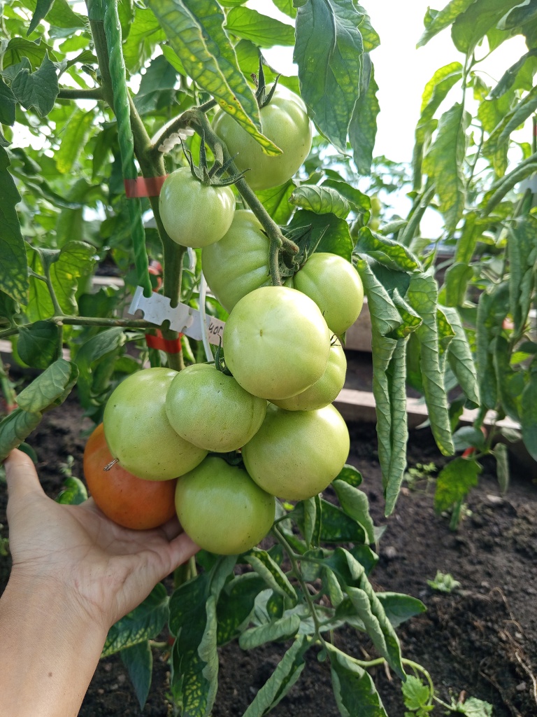 Тяжелым кистям нужна опора, на фото кистедержатель Улитка.jpg Тяжелым кистям нужна опора, на фото кистедержатель Улитка.jpg