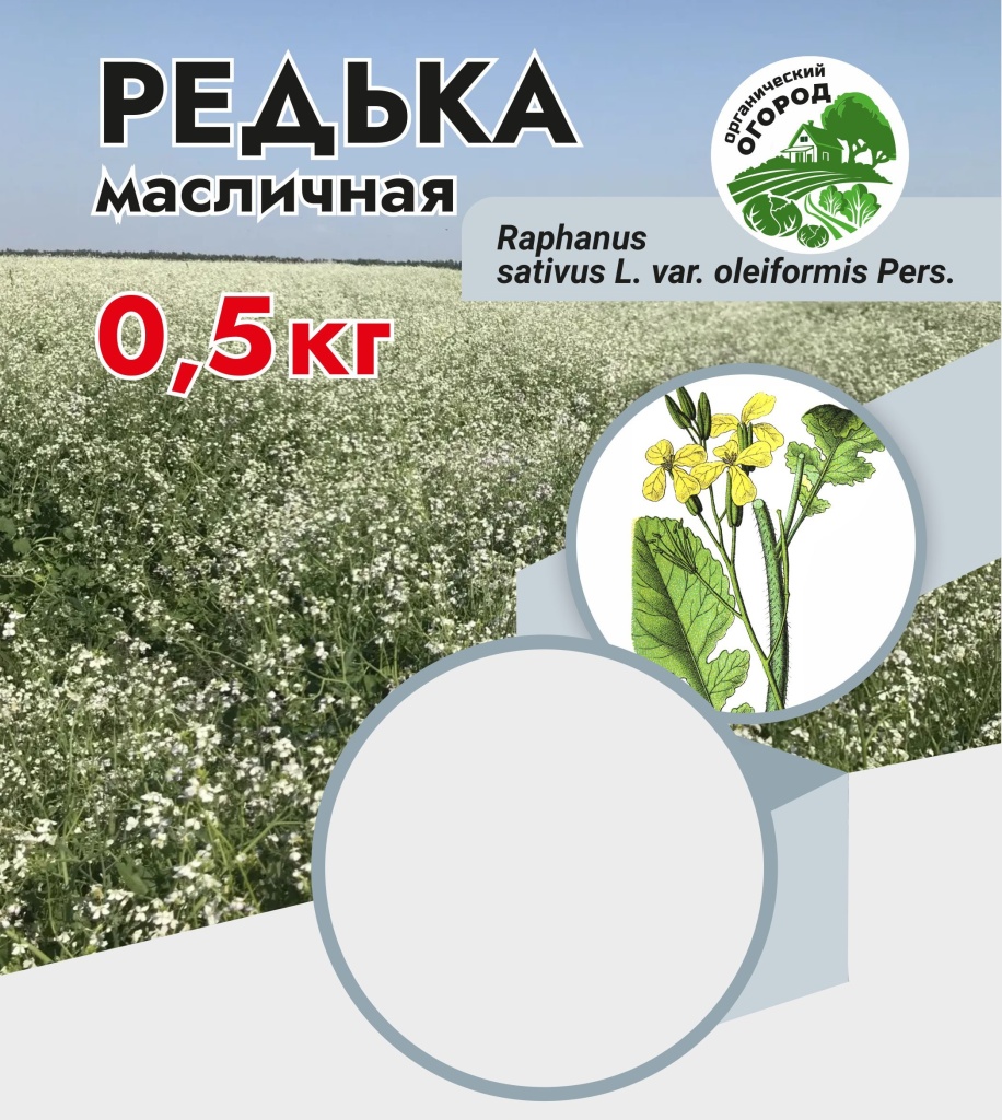 Redka_maslichnaya_0.5kg_plenka_ver2026-11_468010430548322.jpg