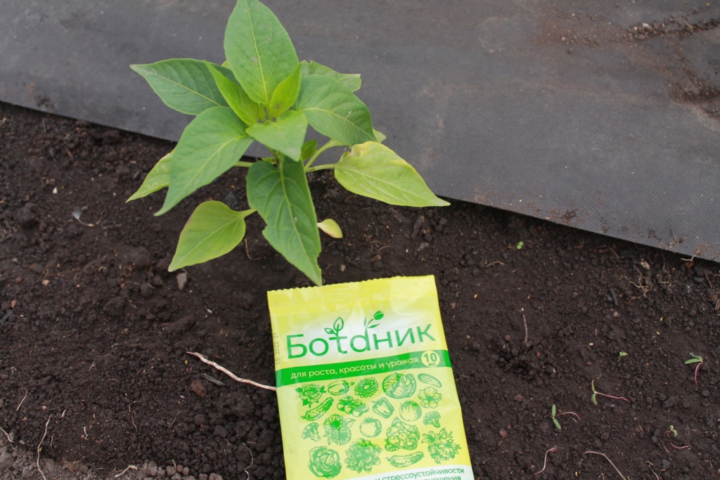 _Ботаник_ лучше применять _до_, а не _после_ стресса.JPG