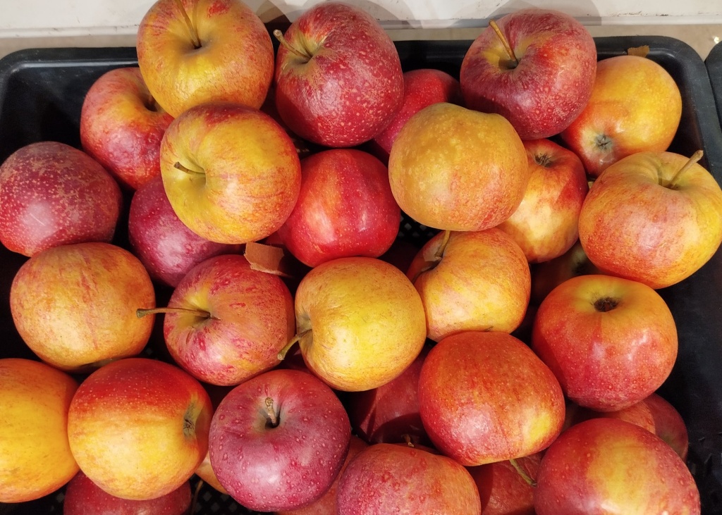 Яблоки Гала.jpg