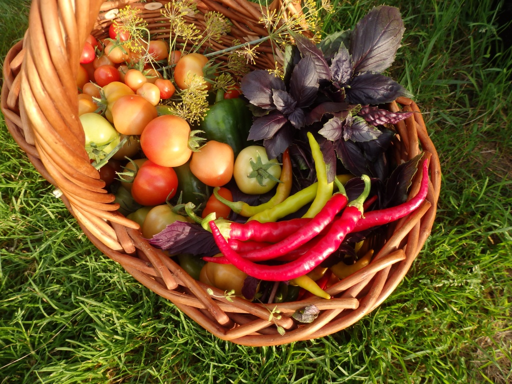 Здравень Турбо» и «Здравень Аква» - идеальная подкормка для овощей, цветов,плодовых деревьев и кустарников.