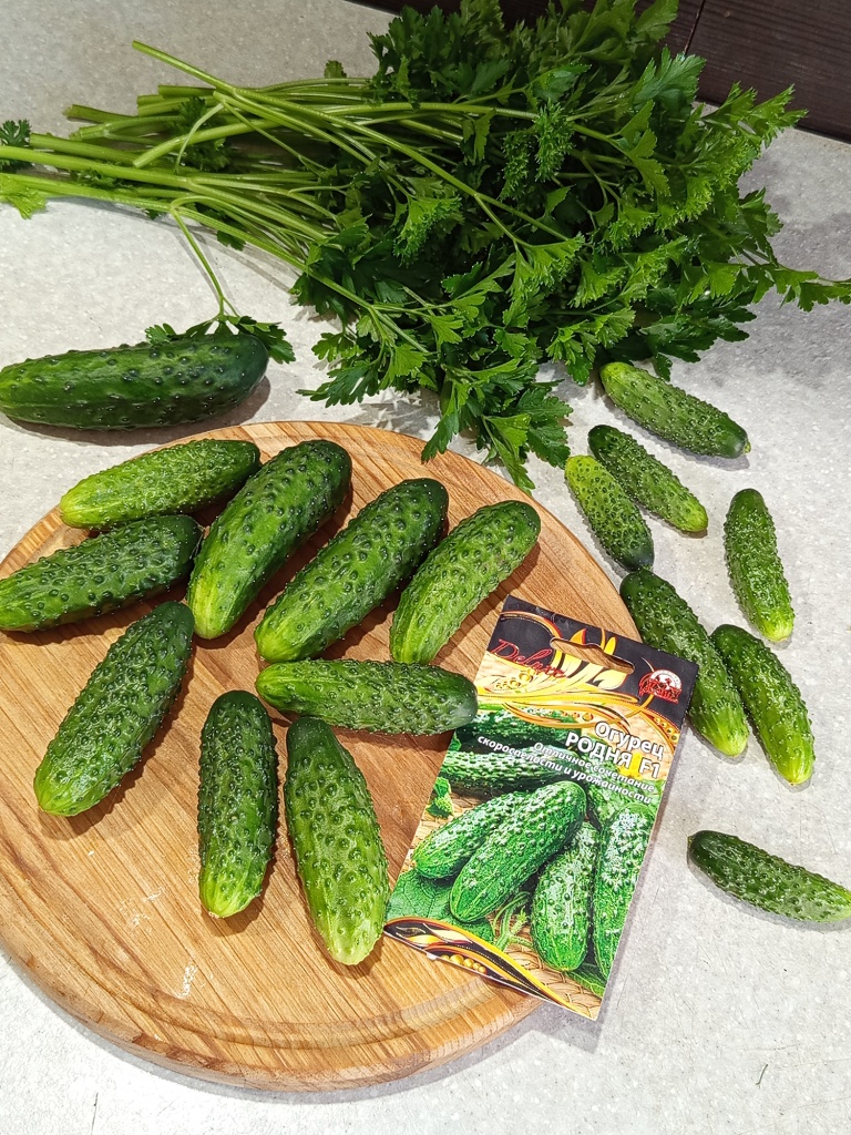 Огурчики выглядят очень аппетитно.jpg Огурчики выглядят очень аппетитно.jpg
