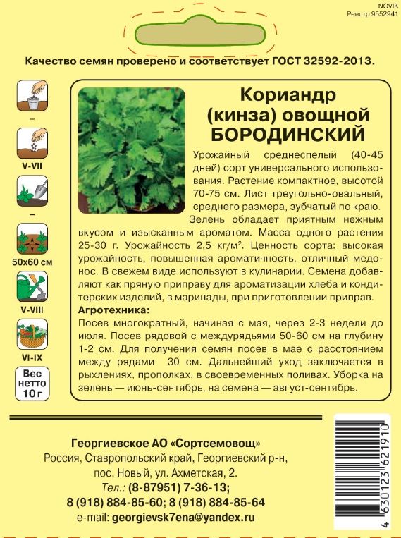 Кориандр овощной БОРОДИНСКИЙ_2.jpg