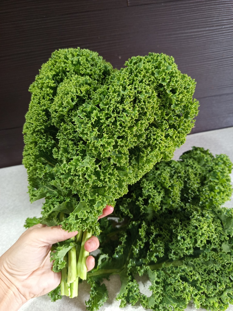 За огромную пользу для здоровья листовую капусту называют суперфуд.jpg За огромную пользу для здоровья листовую капусту называют суперфуд.jpg