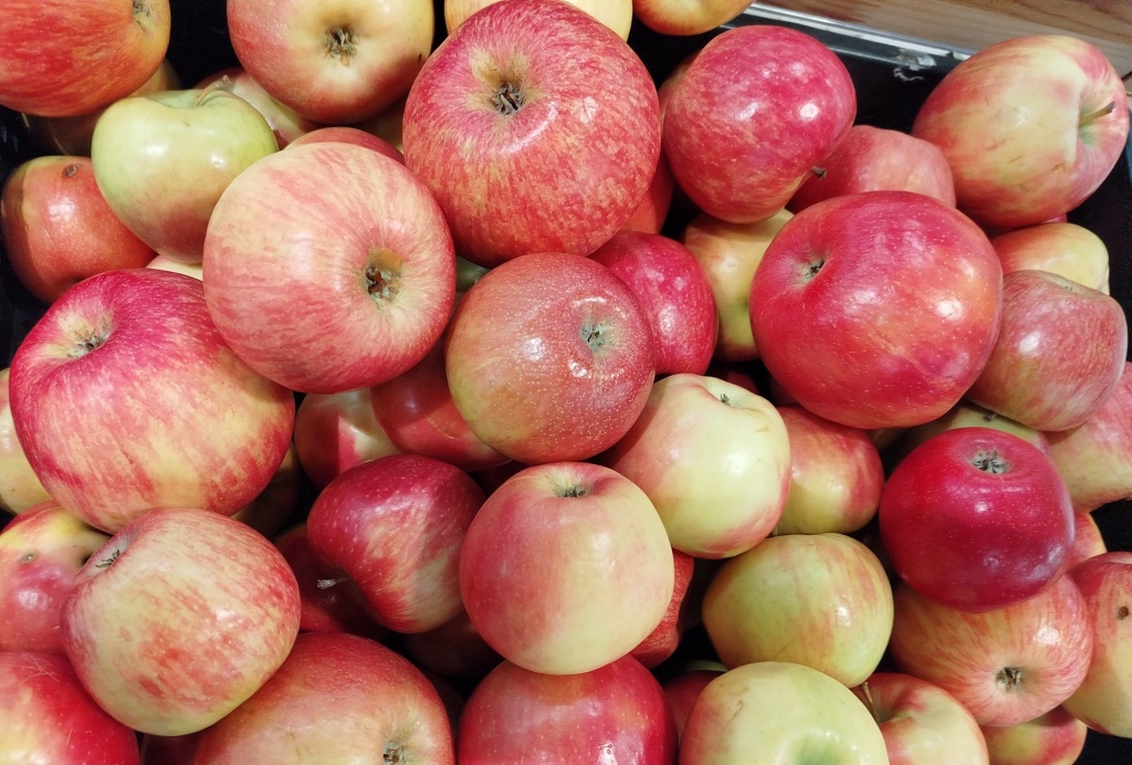Яблоки Медовый хруст.jpg