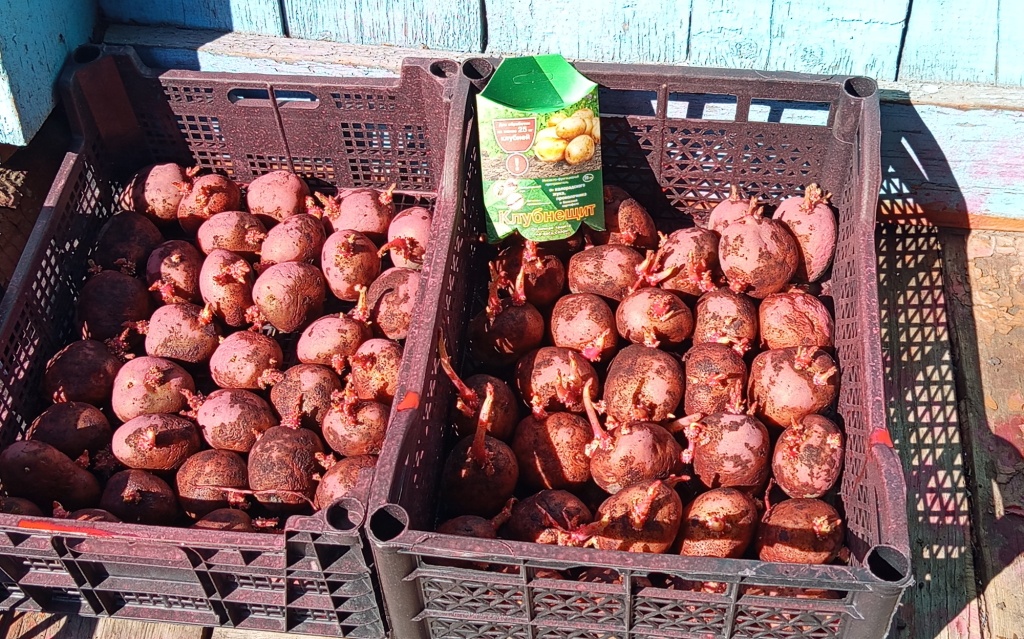 1746335795862.jpg 1746335795862.jpg