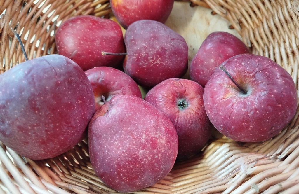 Яблоки Черный принц.jpg