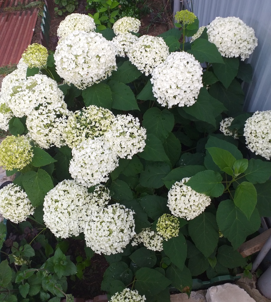 20220717_171823.jpg