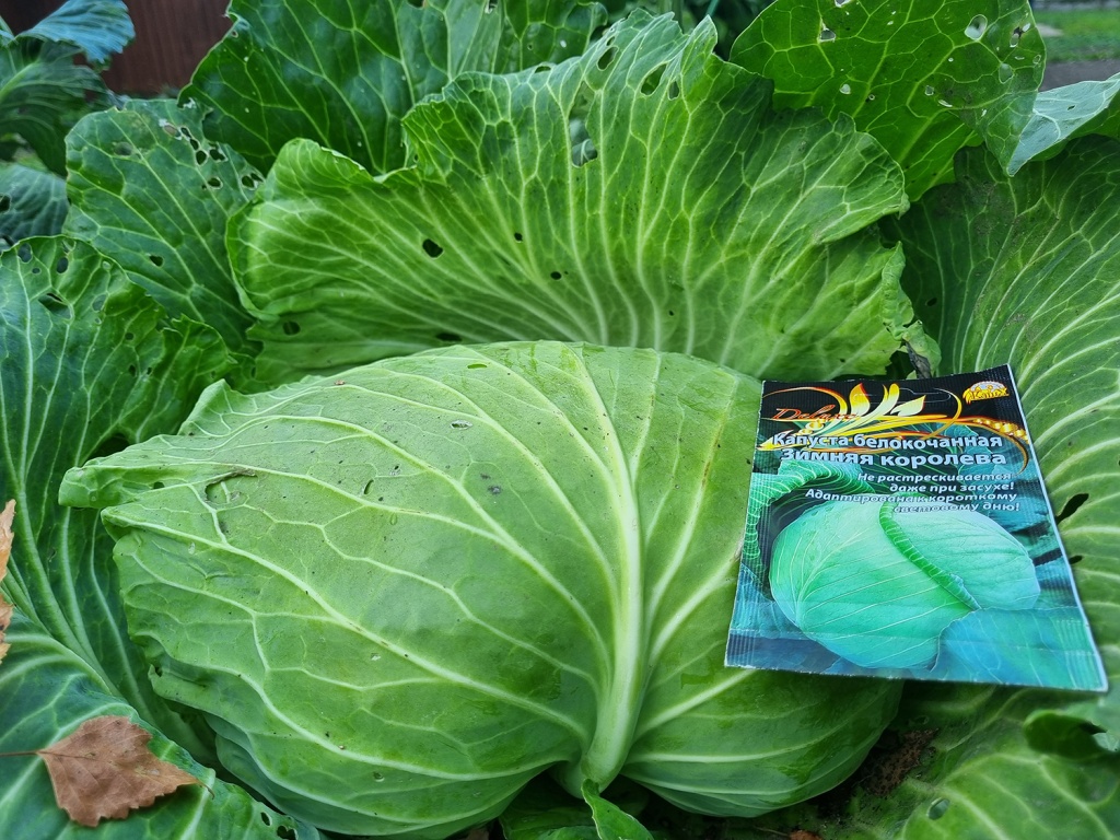 20240925_173011.jpg