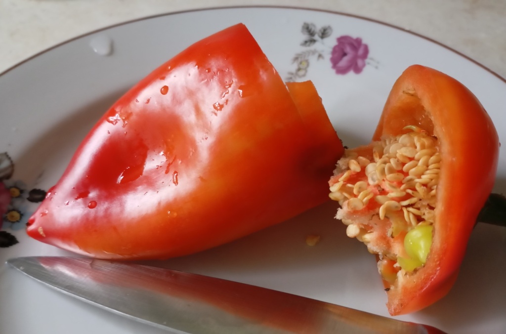 семена перца 2.jpg семена перца 2.jpg