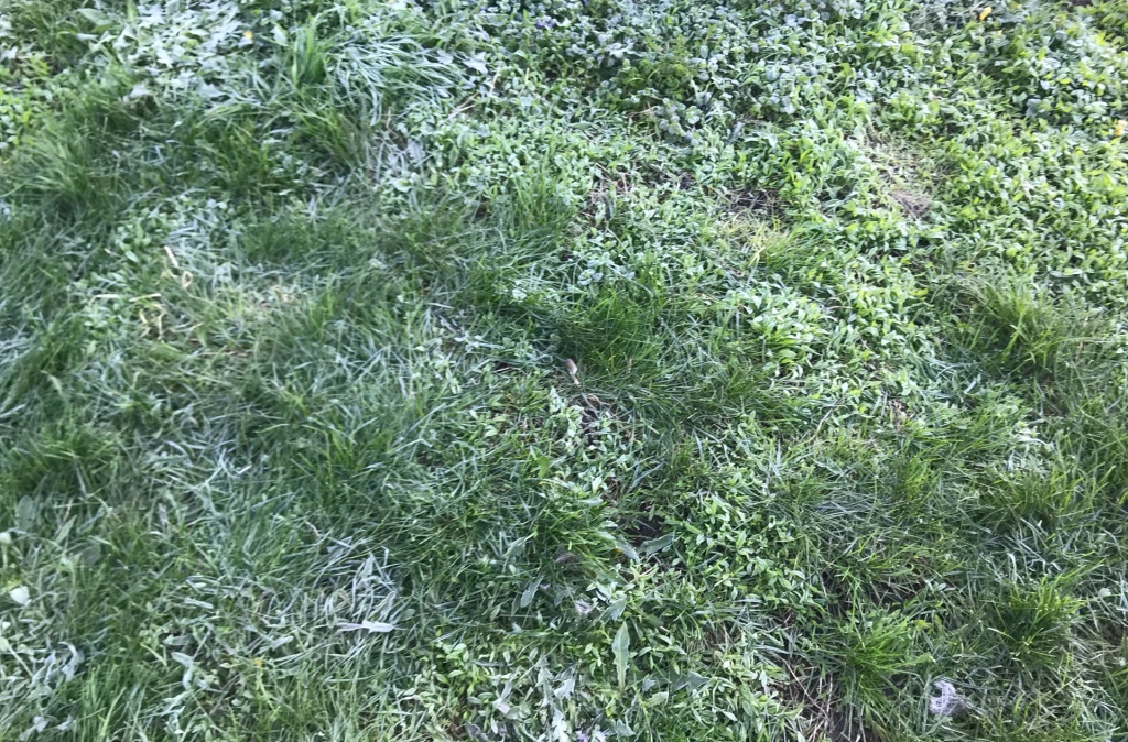 заморозки 4.jpg