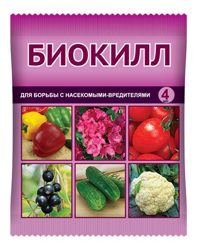 Чем обработка плодовых деревьев и опрыскивание, сроки, сроки, препараты. Чем обработать плодовые деревья и кустарники ранней весной до и после распускания почек, после цветения?