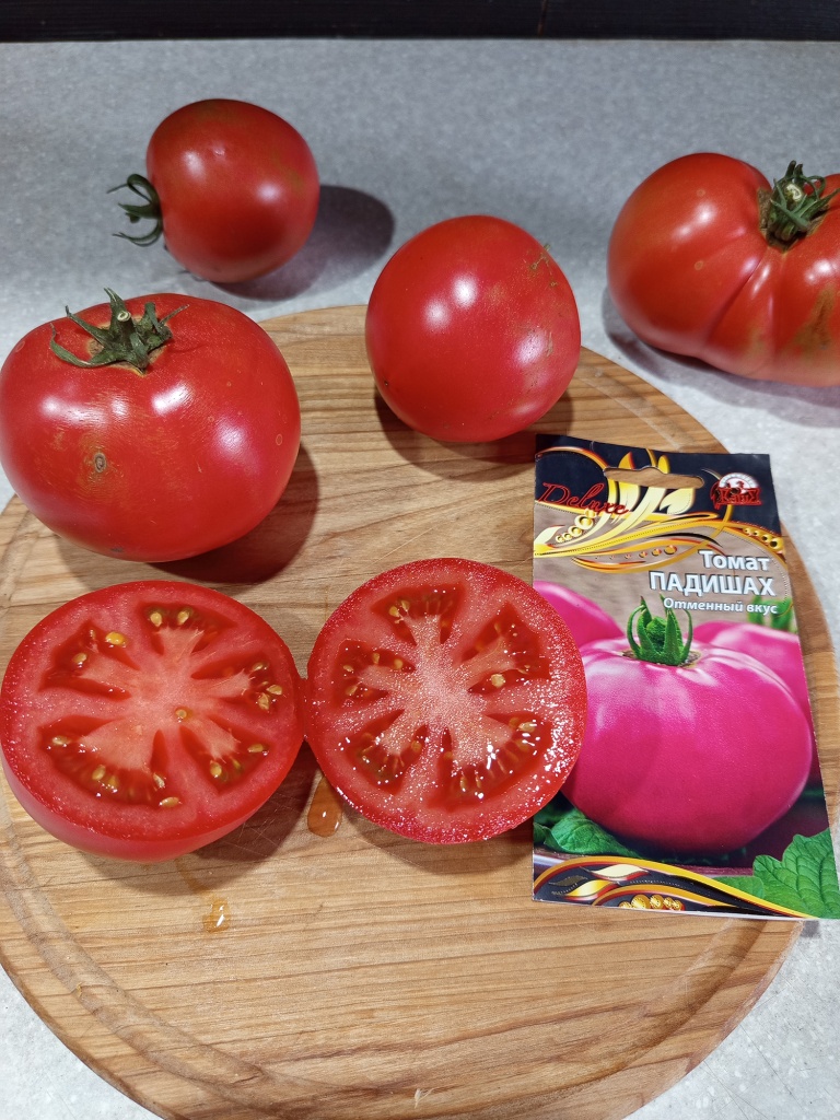 Сорт можно внести в пятерку лучших.jpg Сорт можно внести в пятерку лучших.jpg